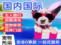 哈尔滨空运国际宠物托运 【国